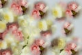 Background with one flowers texture Royalty Free Stock Photo