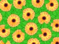 Background of orange flowers and green leaf Royalty Free Stock Photo