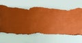 Background .orange torn paper on white cardstock Royalty Free Stock Photo