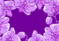 Background with orchid. Beautiful decorative plants.