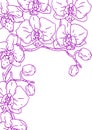 Background with orchid. Beautiful decorative plants.