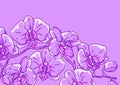 Background with orchid. Beautiful decorative plants.