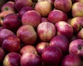 Background of organic apples without GMOs on the market