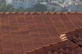 Background ornament terracotta red tiles on roof in the Mediterranean Royalty Free Stock Photo