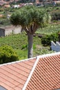 Background ornament terracotta red tiles on roof in Tenerife, Canarian island Royalty Free Stock Photo