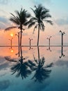 Background outdoor sunset over pool at coconut tree summer beach resor.