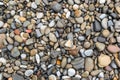 Background of pabbles on the shore of Black sea. Royalty Free Stock Photo