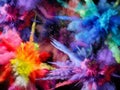 Background. Paint. Bright.Explosion with paint