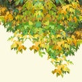 Background painted autumn yellow-green dense foliage