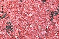 Background of painted red wood chips on the soil Royalty Free Stock Photo