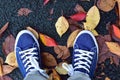 Background Pair of blue canvas shoes with fallen autumn leaves Royalty Free Stock Photo