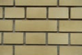Background - pale yellow brick wall with English bond Royalty Free Stock Photo