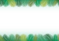 Background 3 Of Palm Leaves