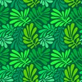 Background with palm leaves. Tropical seamless pattern with mons Royalty Free Stock Photo