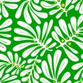 Background with palm leaves. Tropical seamless pattern with mons Royalty Free Stock Photo