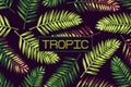 Background with palm leaves and the word `tropic`. Lettering Tropics Border Exotics.