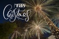 Background palm tree with text Merry Christmas. Calligraphy and lettering