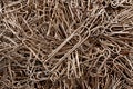 Background of paper clips in steel color. Staples are scattered randomly over the surface Royalty Free Stock Photo