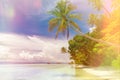 Background of Paradise island - landscape of tropical beach - calm ocean, palm trees, blue sky Royalty Free Stock Photo