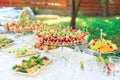 Background of party appetizers on wooden sticks.