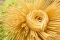 Background of pasta closeup. Royalty Free Stock Photo