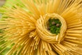 Background of pasta closeup.