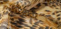 Background pattern African fabric with silk print Savannah with tiger print. This amazing fabric will help you to plunge into the