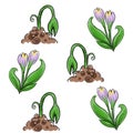 Background pattern with beautiful cute spring flowers and sprouts