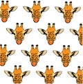 Background pattern with colorful hand drawn giraffe Royalty Free Stock Photo
