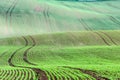 Background/pattern with curves of wavy rolling textured rural fields