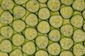 Background pattern of fresh cucumber slices