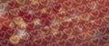 background pattern background romantic floral red hearts jewelry template design red vintage background banner Royalty Free Stock Photo