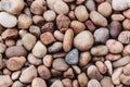 Background pattern and texture of a gravel or pebbles stone Royalty Free Stock Photo