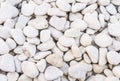 Background pattern texture of white pepple stones Royalty Free Stock Photo