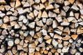 Background with pattern of tree logs Royalty Free Stock Photo