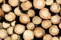 Background with pattern of tree logs Royalty Free Stock Photo