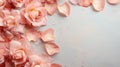 Background with peach-colored rose petals, flowers and water drops on a concrete background.