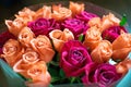 Background of peach and crimson roses. Beautiful coral roses, flowers bouquet close up. Bouquet of crimson and peach roses