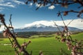 In the background the peak of Moncayo natural park III Royalty Free Stock Photo