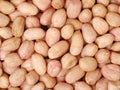 Peanut kernels Royalty Free Stock Photo