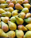 A background of pears in a drawer. Fresh yellow and green pears background Royalty Free Stock Photo