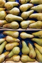 A background of pears in a drawer. Fresh yellow and green pears background Royalty Free Stock Photo