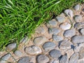 Background of pebble and grass Royalty Free Stock Photo
