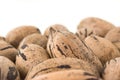 Background of pecan nuts