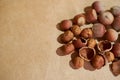 Background of peeled hazelnut kernels and shells and whole nuts Royalty Free Stock Photo