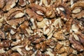 Background of peeled walnuts.Closeup of big shelled walnuts pile. Royalty Free Stock Photo