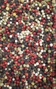 Background of pepper grains of different varieties and colors Royalty Free Stock Photo
