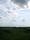 Background photography of bright lush grass field under blue sunny sky Royalty Free Stock Photo