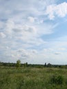 Background photography of bright lush grass field under blue sunny sky Royalty Free Stock Photo