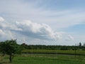 Background photography of bright lush grass field under blue sunny sky Royalty Free Stock Photo